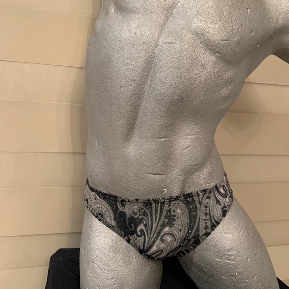 Zodiac Brief - semi sheer J041 - Picture 4 of 4